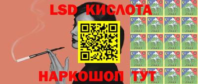 индика Славгород