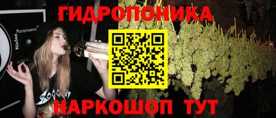 индика Славгород