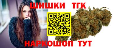 соль ск Сланцы