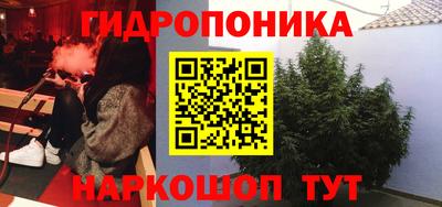 соль ск Сланцы