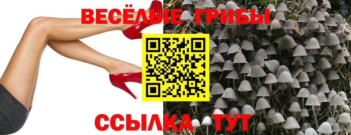 Подольск  купить   Вход с VPN  Псилоцибиновые грибы ЛСД  Галлюциногенные грибы GOLDEN TEACHER 