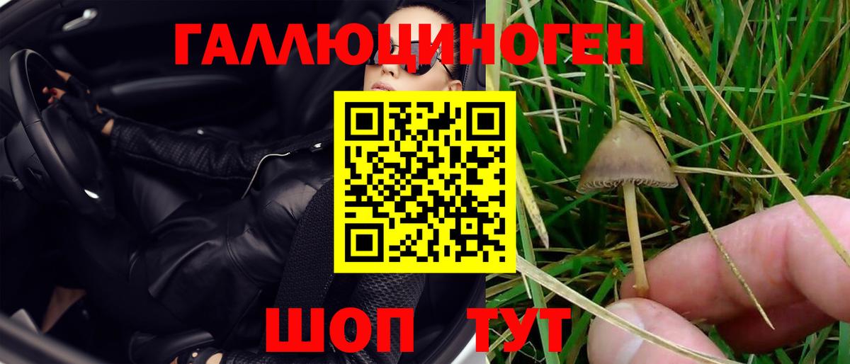 Псилоцибиновые грибы Magic Shrooms Подольск