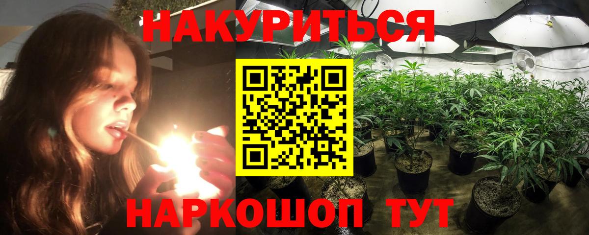 Бошки марихуана конопля Подольск